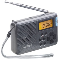 auvisio Taschenradio: 12-Band-Weltempfänger FM/MW/KW, mit Wecker & Sleeptimer (Mini Radios, Kleine Radios, Batteriebetriebenes Radio)