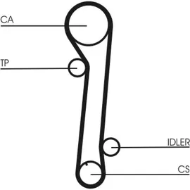 Continental Zahnriemen CT937