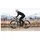ENVE Hinterrad Enve AR40 700 mm 12x142 mm Center Lock
