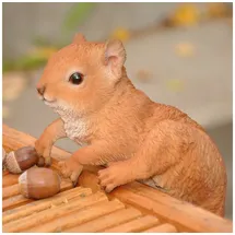 dazikemo Gartenfigur Eichhörnchen Zaunfigur