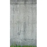 bricoflor Vliestapete Betonoptik 280 x 159 cm 0 g Grau/Grün 392551