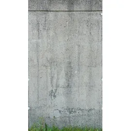 bricoflor Vliestapete Betonoptik 280 x 159 cm 0 g Grau/Grün 392551