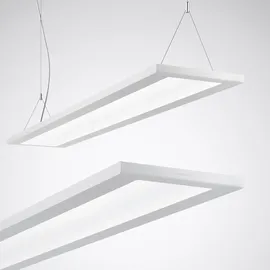 Trilux LED-Anbau/Pendel-Leuchte Luceos D/H1 #7017251