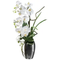 Fuchs versand 24/7 Kunstpflanze Phalaenopsis im Silbervase, 68 cm,
