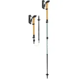 Leki Makalu FX Carbon 100-120 cm grün-schwarz
