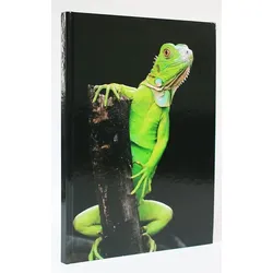 ADINA Notizbuch A4 blanko Leguan fester Deckel