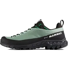 Mammut Mammut, Alnasca IV Low GTX Men 44