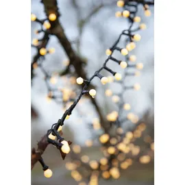 Star Trading LED-Lichterkette Berry Mini 6 m Schwarz Warmweiß
