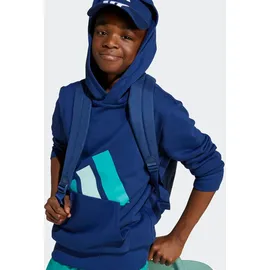 adidas Kinder Kapuzenshirt/Hoodie J BL FT HD Gr. 128
