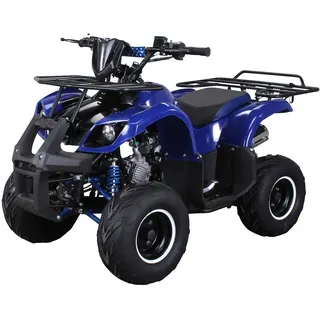 ACTIONBIKES MOTORS Benzin-Kinderquad S-8 Farmer 125 ccm ATV Not-Aus-Leine, Automatik Alarmanlage, Scheibenbremse (Blau)