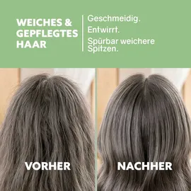 Puremetics Aloe Vera Feuchtigkeit Conditioner-Cream 400 ml