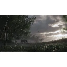 Ghost of Tsushima (USK) (PS4)
