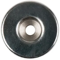 Magnet