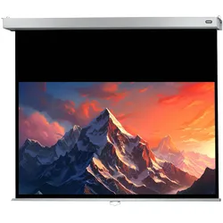 celexon Leinwand Rollo Professional Plus 300 x 169 cm