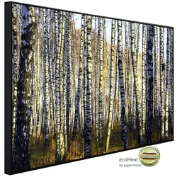 papermoon Infrarotheizung »EcoHeat - Parallelen eines Birkenhains«, Matt-Effekt - bunt