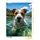 Calvendo Puzzle Ja, Schwimmen ist großartig 1000 Teile Lege-Größe 64x48cm Foto-Puzzle für glückliche Stunden