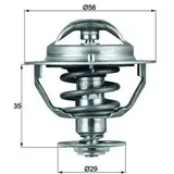 mahle Thermostat, Kühlmittel