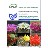 SAFLAX - Mammillare Mix - Mammilaria Mischung - 40 Samen - Mammilaria