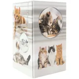 Herma Stiftehalter Karton 8 x 8 x 13 cm Katzen