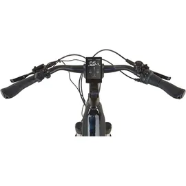 Prophete Geniesser 5.0 28 Zoll RH 48 cm Schwarz-Silbergrün