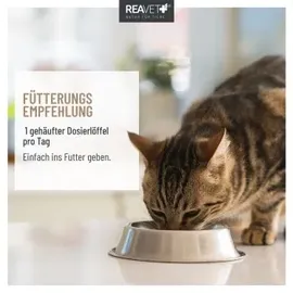 reavet BallastoVET für Katzen 50 g