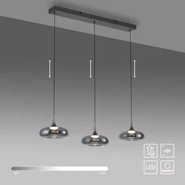 Schöner Wohnen Posh 1-flg. dimmbar 97 cm Glas grau