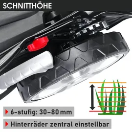 Brast Trike 21224