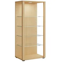 VCM Holz Glas Stand Vitrine Sammelvitrine Glasol lll