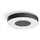Philips Hue White & Color Ambiance Infuse 42,5 cm schwarz