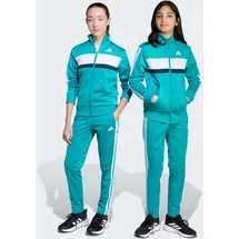 adidas Seasonal Essentials Tiberio Trainingsanzug Grün 164
