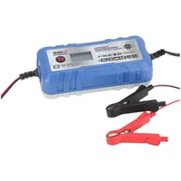 Dedra DEPM019LFP Akkuladegerät