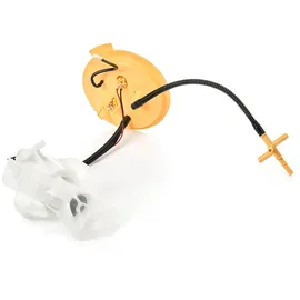 Delphi Kraftstoff-Fördereinheit