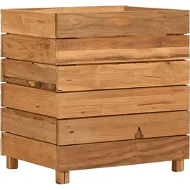 vidaXL Hochbeet 50 x 40 x 55 cm Braun