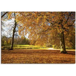 Wandbild ARTLAND "Herbst bei Schlosses Nymphenburg", braun (farbe bild(er): braun), B:100cm H:70cm T:1,8cm, Canvas, Leinwand, Bilder, als Leinwandbild, Poster in verschied. Größen