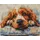 Luca-S Kreuzstich Stickpackung Cocker Spaniel, Zählmuster, Gartendekoration