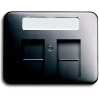 Busch-Jaeger Zentralscheibe pla 1800-20