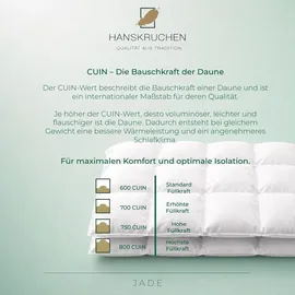 HANSKRUCHEN Jade Daunendecke 200x220 cm