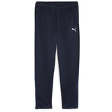 Puma teamGOAL Training Pant Wmn