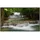 Papermoon Infrarotheizung Tiefer Waldwasserfall 350 W bunt