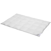 BettwarenShop Comfort warm, Füllung: 60% Daunen, 40% Federn 155x220 cm