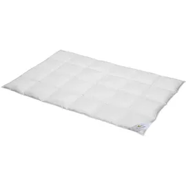 BettwarenShop Comfort warm, Füllung: 60% Daunen, 40% Federn 155x220 cm