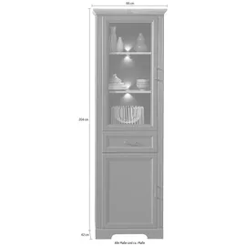 Innostyle Stauraumvitrine Jasmin 66 x 42 x 204 cm Grau