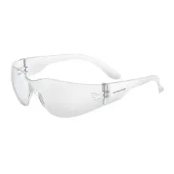 Schutzbrille Hockenheim Anti-Fog UV 400 klar