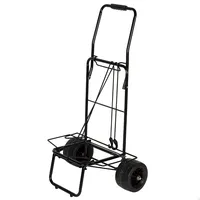 Aktive Strandwagen 62377 Grau