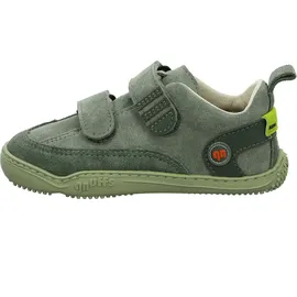 qnuffs Ahorn grau 32