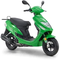 LUXXON ECO 50 3,0 PS 45 km/h Grün