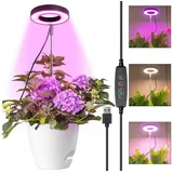 MUPOO Pflanzenlampe LED Pflanzenleuchte USB Timer Pflanzenlampe 42 LEDs Grow Lamp, Einstellbare Höhe 6.5-63.5 cm, Einstellbare Höhe Vollspektrum für Zimmerpflanzen,Sonnenlicht schwarz