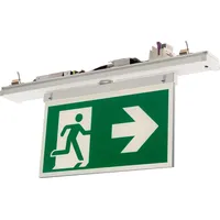 Ridi Ridi-Leuchten Rettungszeichen-Modul VLMF-HW-B 500-7 Z-UR