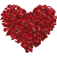 Natürliche Getrocknete Rosenblätter,100 Gramm Trockene Rosenblüte Natürliche Bio