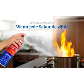 Hekatron Feuerlöschspray Universal, 600 ml ABF, frostsicher